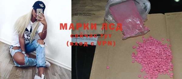 хмурый Бородино
