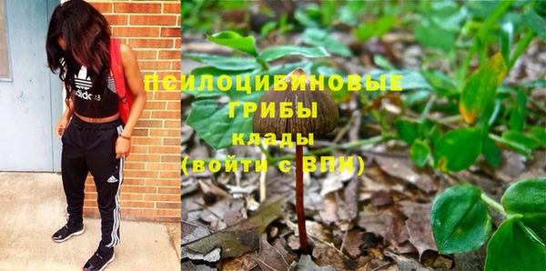 трава Верея