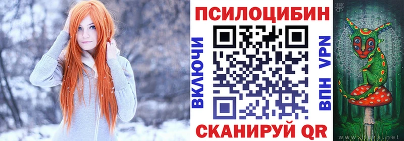 где купить наркоту Вилюйск Псилоцибиновые грибы MAGIC MUSHROOMS